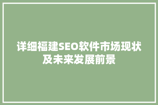 详细福建SEO软件市场现状及未来发展前景