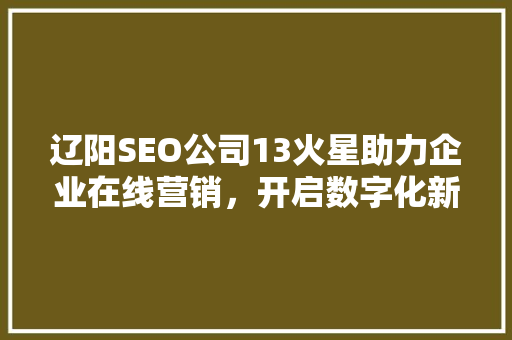 辽阳SEO公司13火星助力企业在线营销，开启数字化新篇章