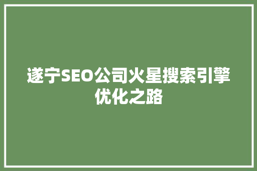 遂宁SEO公司火星搜索引擎优化之路