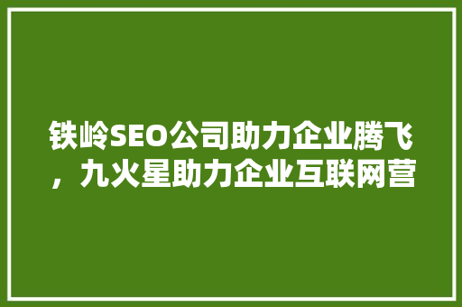 铁岭SEO公司助力企业腾飞，九火星助力企业互联网营销新篇章