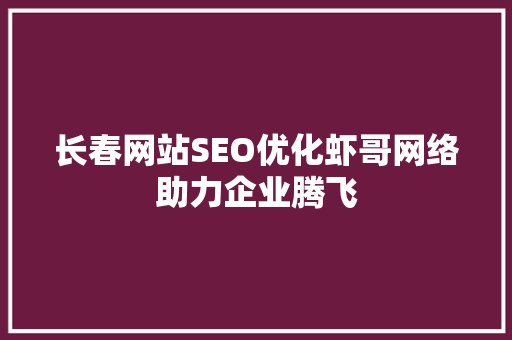 长春网站SEO优化虾哥网络助力企业腾飞