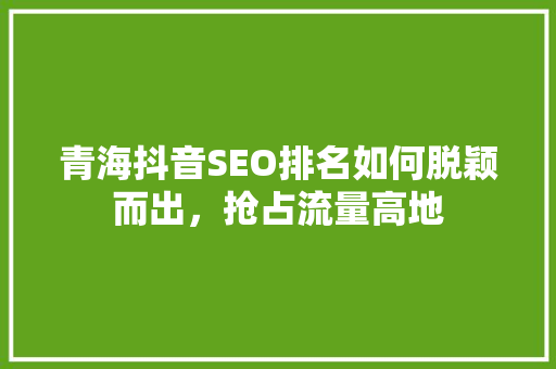 青海抖音SEO排名如何脱颖而出，抢占流量高地