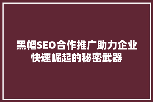 黑帽SEO合作推广助力企业快速崛起的秘密武器