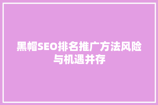 黑帽SEO排名推广方法风险与机遇并存