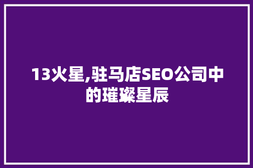 13火星,驻马店SEO公司中的璀璨星辰