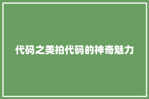 代码之美拍代码的神奇魅力