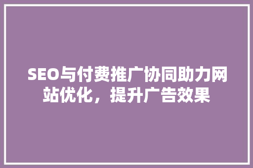 SEO与付费推广协同助力网站优化，提升广告效果