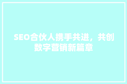 SEO合伙人携手共进，共创数字营销新篇章  第1张
