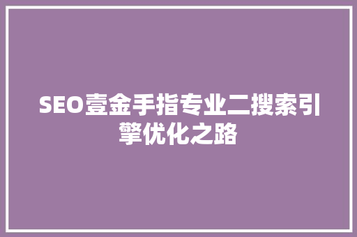 SEO壹金手指专业二搜索引擎优化之路