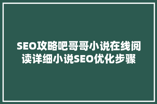 SEO攻略吧哥哥小说在线阅读详细小说SEO优化步骤