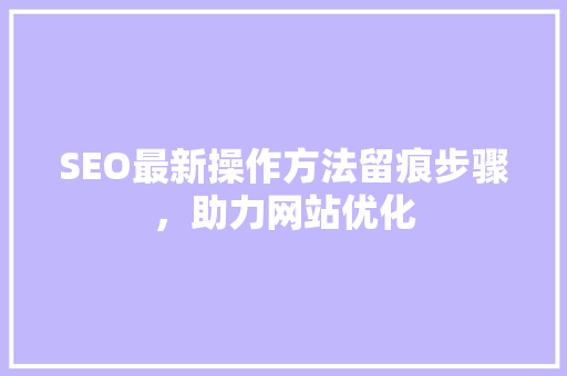 SEO最新操作方法留痕步骤，助力网站优化