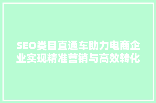 SEO类目直通车助力电商企业实现精准营销与高效转化