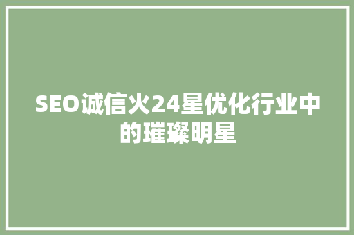 SEO诚信火24星优化行业中的璀璨明星