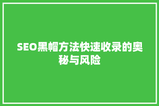SEO黑帽方法快速收录的奥秘与风险