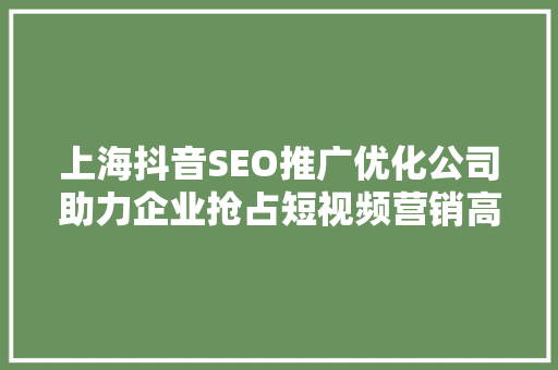 上海抖音SEO推广优化公司助力企业抢占短视频营销高地