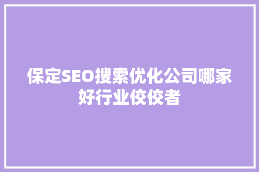 保定SEO搜索优化公司哪家好行业佼佼者