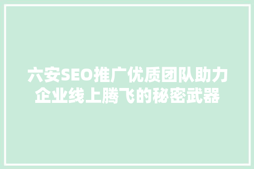 六安SEO推广优质团队助力企业线上腾飞的秘密武器