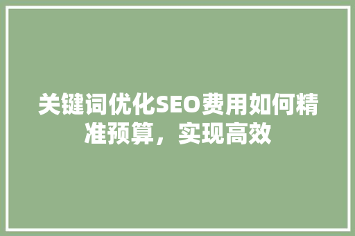 关键词优化SEO费用如何精准预算，实现高效