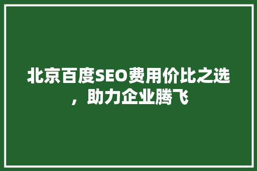 北京百度SEO费用价比之选，助力企业腾飞
