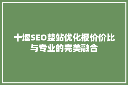 十堰SEO整站优化报价价比与专业的完美融合