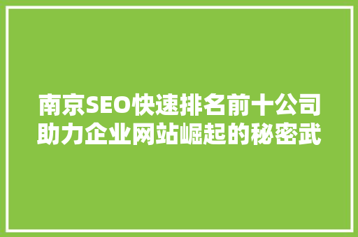 南京SEO快速排名前十公司助力企业网站崛起的秘密武器