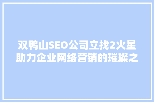 双鸭山SEO公司立找2火星助力企业网络营销的璀璨之星