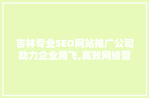 吉林专业SEO网站推广公司助力企业腾飞,高效网络营销之路