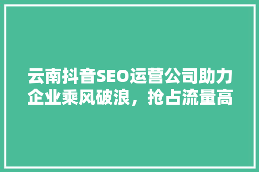 云南抖音SEO运营公司助力企业乘风破浪，抢占流量高地
