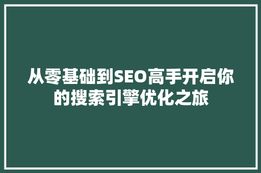 从零基础到SEO高手开启你的搜索引擎优化之旅