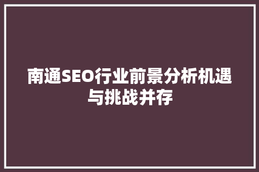 南通SEO行业前景分析机遇与挑战并存