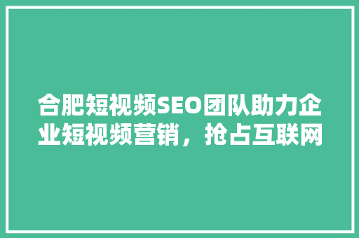合肥短视频SEO团队助力企业短视频营销，抢占互联网蓝海  第1张