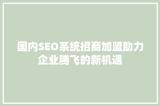 国内SEO系统招商加盟助力企业腾飞的新机遇