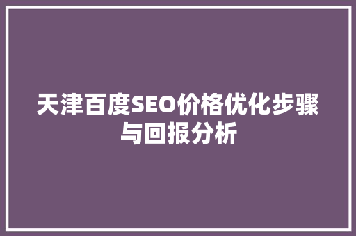 天津百度SEO价格优化步骤与回报分析