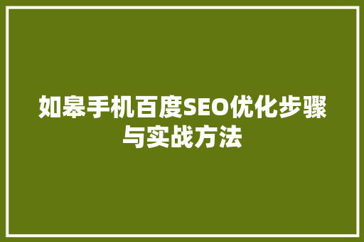 如皋手机百度SEO优化步骤与实战方法
