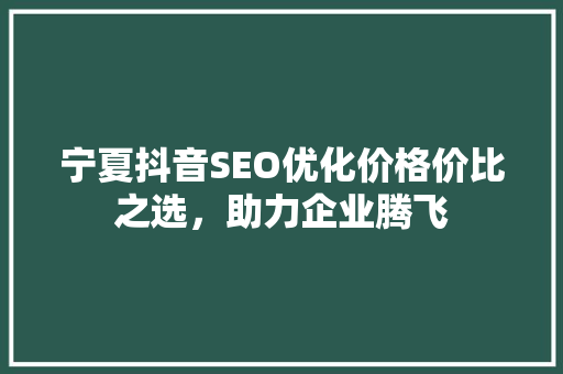 宁夏抖音SEO优化价格价比之选，助力企业腾飞
