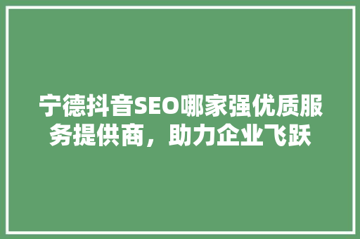 宁德抖音SEO哪家强优质服务提供商，助力企业飞跃