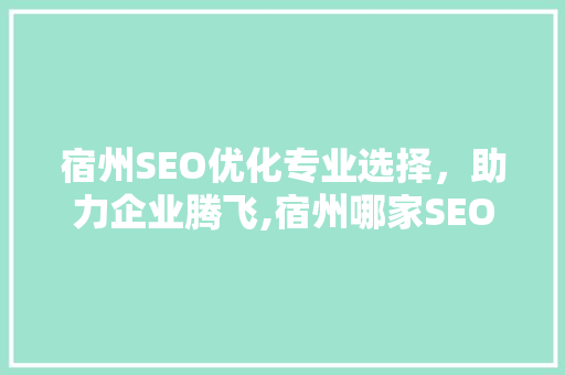 宿州SEO优化专业选择，助力企业腾飞,宿州哪家SEO优化最专业