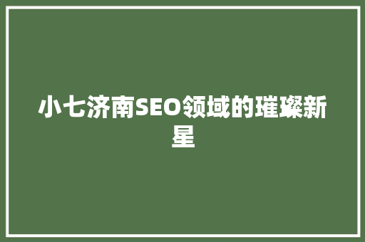 小七济南SEO领域的璀璨新星