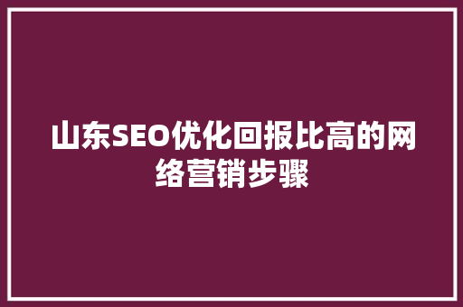 山东SEO优化回报比高的网络营销步骤