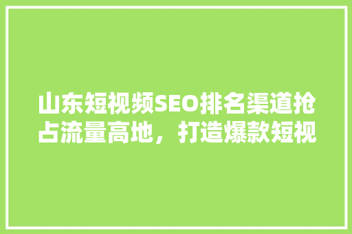 山东短视频SEO排名渠道抢占流量高地，打造爆款短视频