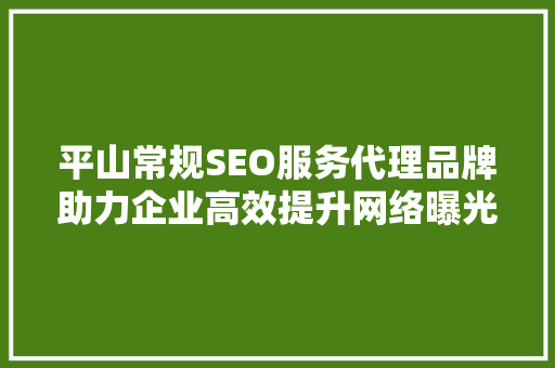 平山常规SEO服务代理品牌助力企业高效提升网络曝光度