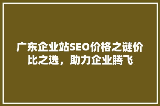 广东企业站SEO价格之谜价比之选，助力企业腾飞