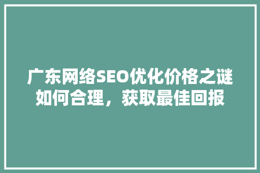 广东网络SEO优化价格之谜如何合理，获取最佳回报
