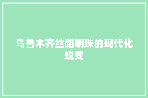 乌鲁木齐丝路明珠的现代化蜕变
