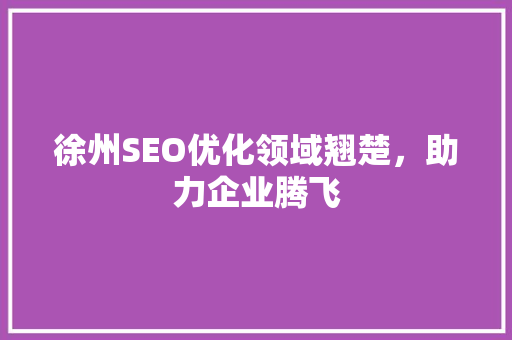 徐州SEO优化领域翘楚，助力企业腾飞