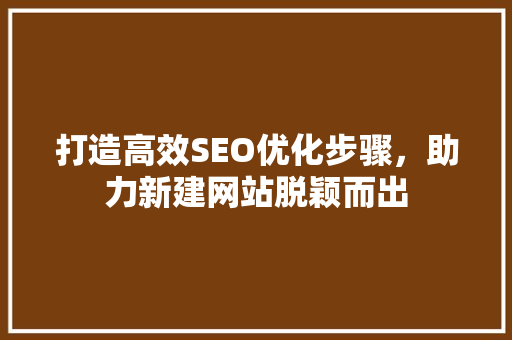 打造高效SEO优化步骤，助力新建网站脱颖而出