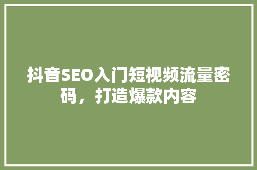 抖音SEO入门短视频流量密码，打造爆款内容