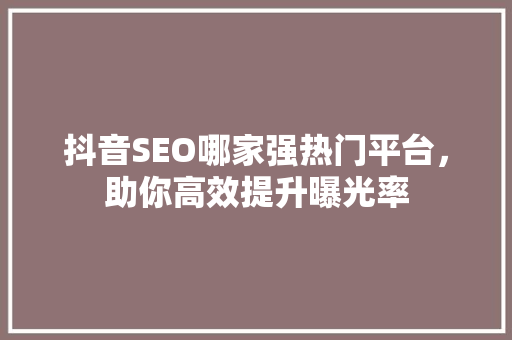 抖音SEO哪家强热门平台，助你高效提升曝光率