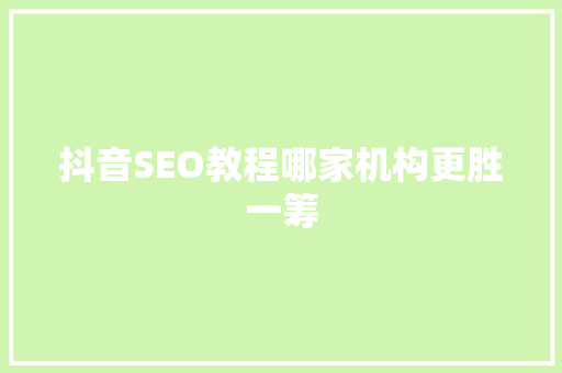 抖音SEO教程哪家机构更胜一筹