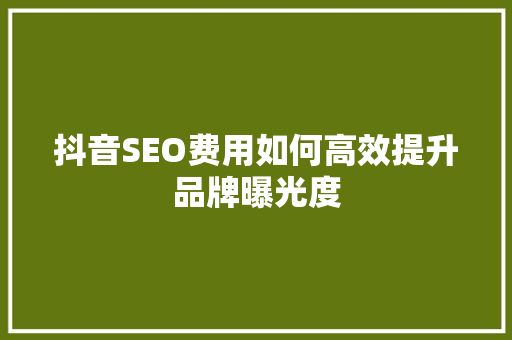 抖音SEO费用如何高效提升品牌曝光度